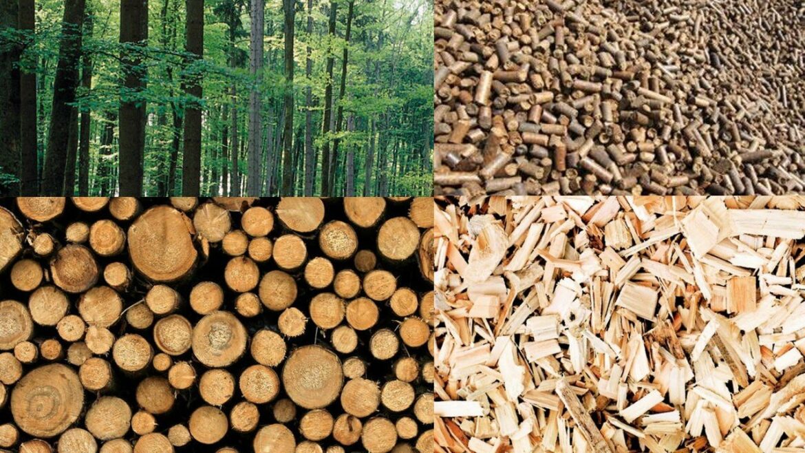 – Proroga scadenza –  PSR Marche 2014-2020: Bando Progetti Integrati Filiere per la produzione di energia da biomasse forestali – annualità 2020
