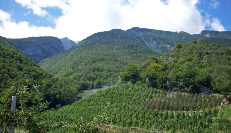 PSR della Regione Marche 2014 – 2022 – Bando – Sottomisura 13.1 – Pagamento compensativo per le zone montane. Annualità 2022.