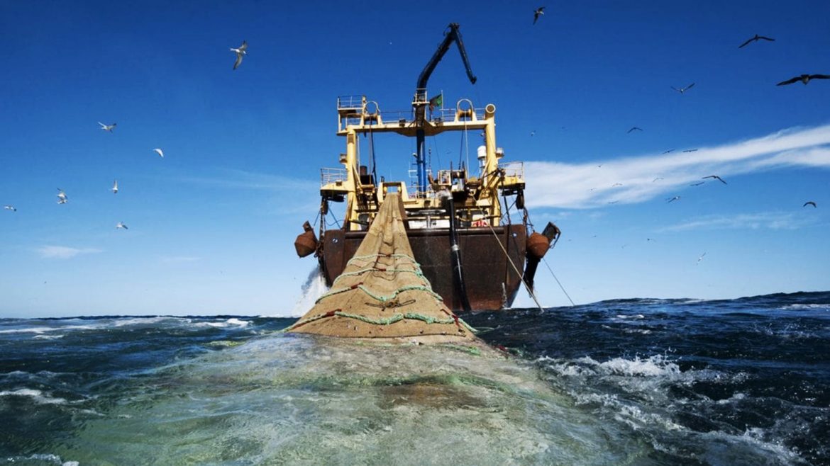 Interventi urgenti di sostegno alle imprese di pesca operanti nella Regione Marche con il sistema della pesca a strascico come conseguenza della crisi energetica determinata dal conflitto Russia/Ucraina.